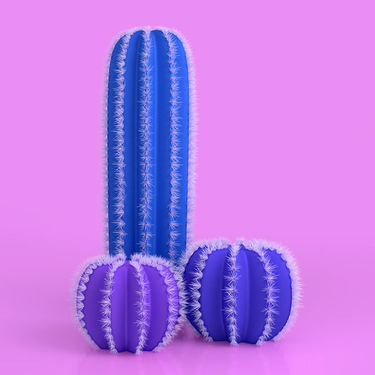 Blue cactuses that look like a penis and testicles on a pink background
